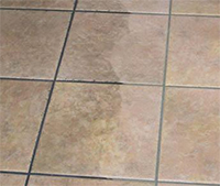 tile grout cleaning